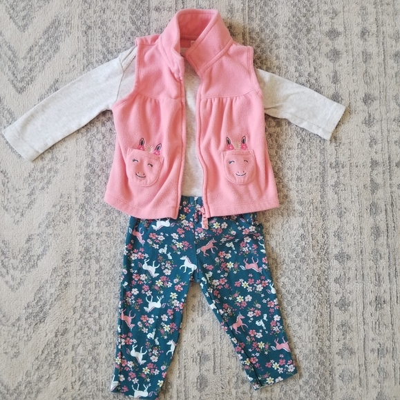 Carter's Other - Carter's baby girl 9 month 3 piece outfit set